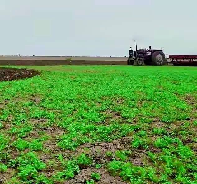 القضارف ترفع المساحات المزروعة إلى 4.7 مليون فدان والتمويل يتجاوز 418 ترليون جنيه
